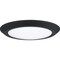 Quoizel Verge Flush Mount VRG1612EK - alternate 3